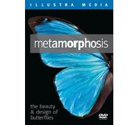 Metamorphosis: The Beauty and Design of Butterflies
