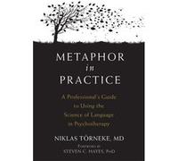 Metaphor In Practice