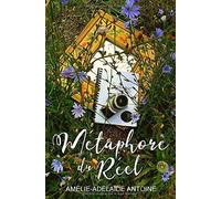 Métaphore Du Réel