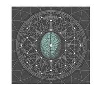 PELAGIC – Metaphysicize – Vinyle 33 tours