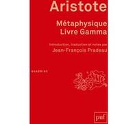 Métaphysique, livre Gamma