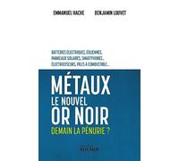 Métaux, le nouvel or noir