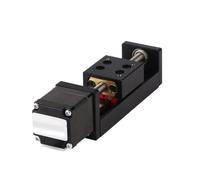 Metaximious Plate-forme de guidage de scène linéaire, 50mm 100mm 200mm 300mm, Rail de Table coulissante de type T, moteur pas à pas NEMA11 28mm Industrie(4mm pitch 300mm)