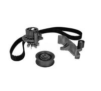 METELLI Pompe À Eau + Kit De Courroie Pour Audi A4 Avant 8ED B7 8E5 B6 8H7