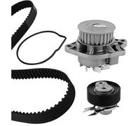 METELLI Pompe À L'Eau + Courroie pour VW Polo 6N2 6N1 6KV5 6X1 6E1 Seat