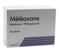Météoxane 60 Gélules