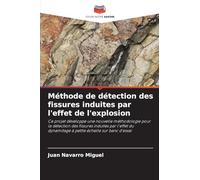 Méthode de détection des fissures induites par l'effet de l'explosion