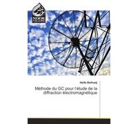 Methode du GC pour l'etude de la diffraction electromagnetique - Haifa Belhadj - Noor Publishing - broché - Guide