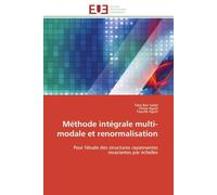 Méthode intégrale multi-modale et renormalisation: Pour l'étude des structures rayonnantes invariantes par échelles