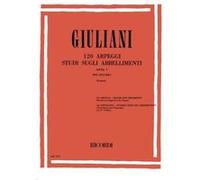 Méthodes et pédagogie RICORDI GIULIANI M. - 120 ARPEGGI STUDI SUGLI ABBELLIMENTI DALL'OP.1 - GUITARE Guitare acoustique