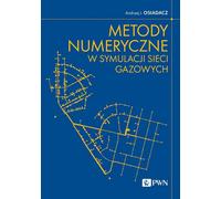 Méthodes numériques pour la simulation des réseaux de gaz (Buch auf Polnisch)