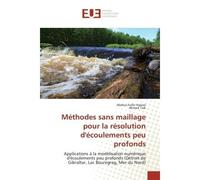 Méthodes sans maillage pour la résolution d'écoulements peu profonds Applications à la modélisation numérique d'écoulements peu profonds (Détroit de Gibraltar, Lac Boure - Abdoul-hafar Halassi - Unive