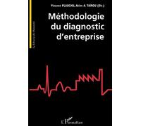 Vincent Plauchu – Méthodologie du diagnostic d'entreprise – Étude – Broché