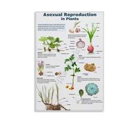 Methods of Plant Asexual Reproduction Poster