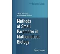 Methods Of Small Parameter In Mathematical Biology