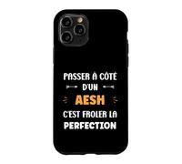 Métier Passé à côté d'un aesh Perfection Humour aesh Coque pour iPhone 11 Pro