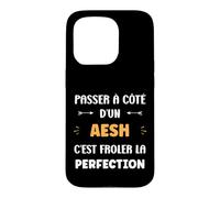 Métier Passé à côté d'un aesh Perfection Humour aesh Coque pour iPhone 15 Pro
