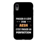 Métier Passé à côté d'un aesh Perfection Humour aesh Coque pour iPhone XR