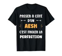 Métier Passé à côté d'un aesh Perfection Humour aesh T-Shirt
