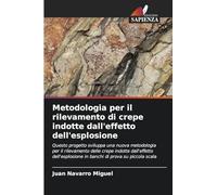 Metodologia per il rilevamento di crepe indotte dall'effetto dell'esplosione