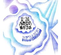Metronomy - I'm Aquarius [Import]