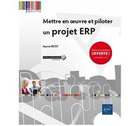 Mettre En Oeuvre Et Piloter Un Projet Erp
