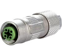 Metz Connect MMF881A115 Connecteur Femelle Nombre total de pôles: 4 1 pc(s)