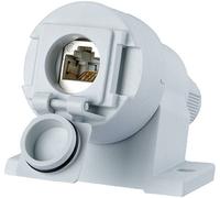 Metz Connect Prise réseau montage apparent (en saillie) CAT 6a 1 port gris clair