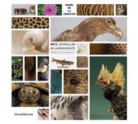 Metz, un pavillon de la biodiversité Parenthèse naturaliste - Maëlys Sinnig - Silvana Editoriale - broché - Monographie