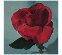 Metz - Up On Gravity Hill - Clear W/ Red [Vinyl Lp] Colored Vinyl, Clear Vinyl, Red