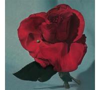 Metz – Up on Gravity Hill – Vinyle jaune