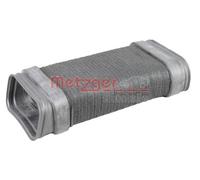 METZGER 2388013 Tuyau d'aspiration, alimentation d'air pour BMW