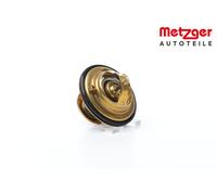 METZGER 4006084 Thermostat d'eau