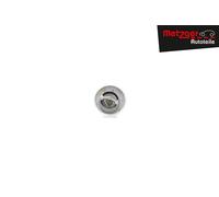 METZGER 4006093 Thermostat d'eau