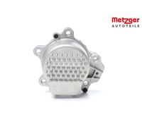 METZGER 4007049 Pompe à eau