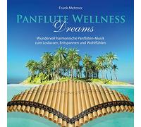 Metzner,Frank - Panflute Wellness Dreams [Import]