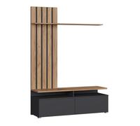 Vicco Meuble Mural Harro, Force d'or chêne/Gris,