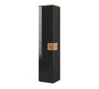 Vicco Meuble Salle de Bain Eden, Anthracite, 40x184.2cm, pour Montage Mural avec aménagement intérieur modulable