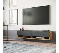 Meuble TV à 2 Portes Meuble de Rangement Design pour Salon avec 2 Espaces de Stockage Panneau de Particules Mélaminé 30 x 140 x 32 cm Effet Chêne Rustique Anthracite