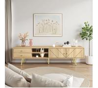 Meuble TV - AMBIANCE - 160 x 36 x 42 cm - Moderne - 2 Tiroirs et portes - avec Pieds dorés