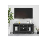 Meuble TV Anthracite 105x35x52 cm Acier et verre