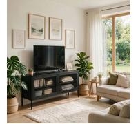 Meuble TV - HAPPY GARDEN - TOM - 120 cm - Métal noir - 2 portes passages câbles