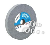 Meule abrasive à grain de corindon 46 pour meuleuse 200x25x32 mm Fervi mg14/46