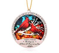 Mevronisshop-Cadeau De Condoléances Pour La Perte D'un Être Cher - Attrape-Soleil Commémoratif À Suspendre - Décoration Cardinaux Rouges Pour La Maison - Cadeaux De Deuil Pour Femmes Et Hommes - Souv