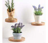 Mevronisshop-Lot De 3 Étagères Murales Rondes, Diamètre : 15 Cm, En Bois, Pour Plantes Flottantes, Décoratives, Pour Pot De Fleurs Ou Vase