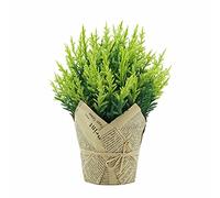 MEVZHH Fleurs Artificielles Artificielles En Pot Artificiel 1Pcs, Bonsai Avec Plante de Simulation de Pot En Plastplantes En Pot Pour La Maison/A