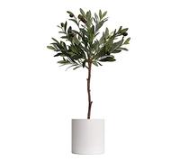 MEVZHH Fleurs Artificielles,Olivier Artificiel Artificiel En Pot Dans Le Conteneur Décoratif Faux Tree Plant Faux Olives Leaf Large Home Floor Plante Verte Artificielle En Pot,Plantes Artificielles de