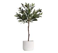 MEVZHH Fleurs Artificielles,Olivier Artificiel Artificiel En Pot Dans Le Conteneur Décoratif Faux Tree Plant Faux Olives Leaf Large Home Floor Plante Verte Artificielle En Pot,Plantes Artificielles de