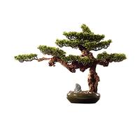 MEVZHH Fleurs Artificielles Plantes Artificielles Bonsaï Artificiel Bureau Plante Verte Simulée Plante En Pot Galets Vue de Montagne Artificielle Bonsaï Simple Et Naturel Dans Le Salon Arbre Simulé