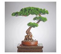 MEVZHH Fleurs Artificielles Plantes Artificielles Bonsaï Artificiel Pin D'Accueil, Plante En Pot Artificielle de 43 Cm, Faux Pin Podocarpus, Plantes D'Intérieur Artificielles Pour Bureau À Domicile, A